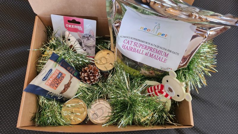 BOX REGALO – GATTO ADULTO